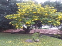 Paraná, PR, Curitiba, Aluguel temporada,  Alugue temporada, apartamentos para alugar, Casa para alugar,  alugar casas,  aluguel de temporada,  aluguel por temporada, alugar apartamento,  alugar casa, casas pra alugar,  casas alugar, casa alugar, casa temporada, aluguel para temporada,