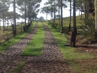 Roraima, RR, Boa Vista, Aluguel temporada,  Alugue temporada, apartamentos para alugar, Casa para alugar,  alugar casas,  aluguel de temporada,  aluguel por temporada, alugar apartamento,  alugar casa, casas pra alugar,  casas alugar, casa alugar, casa temporada, aluguel para temporada,