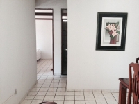 Tocantins, TO, Palmas, Aluguel temporada,  Alugue temporada, apartamentos para alugar, Casa para alugar,  alugar casas,  aluguel de temporada,  aluguel por temporada, alugar apartamento,  alugar casa, casas pra alugar,  casas alugar, casa alugar, casa temporada, aluguel para temporada,