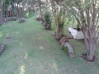 Acre, AC, Rio Branco, Aluguel temporada,  Alugue temporada, apartamentos para alugar, Casa para alugar,  alugar casas,  aluguel de temporada,  aluguel por temporada, alugar apartamento,  alugar casa, casas pra alugar,  casas alugar, casa alugar, casa temporada, aluguel para temporada,