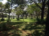 Acre, AC, Rio Branco, Aluguel temporada,  Alugue temporada, apartamentos para alugar, Casa para alugar,  alugar casas,  aluguel de temporada,  aluguel por temporada, alugar apartamento,  alugar casa, casas pra alugar,  casas alugar, casa alugar, casa temporada, aluguel para temporada,