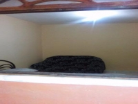 Pernambuco, PE, Recife, Aluguel temporada,  Alugue temporada, apartamentos para alugar, Casa para alugar,  alugar casas,  aluguel de temporada,  aluguel por temporada, alugar apartamento,  alugar casa, casas pra alugar,  casas alugar, casa alugar, casa temporada, aluguel para temporada,