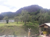 Pernambuco, PE, Recife, Aluguel temporada,  Alugue temporada, apartamentos para alugar, Casa para alugar,  alugar casas,  aluguel de temporada,  aluguel por temporada, alugar apartamento,  alugar casa, casas pra alugar,  casas alugar, casa alugar, casa temporada, aluguel para temporada,