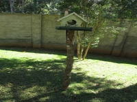 Pernambuco, PE, Recife, Aluguel temporada,  Alugue temporada, apartamentos para alugar, Casa para alugar,  alugar casas,  aluguel de temporada,  aluguel por temporada, alugar apartamento,  alugar casa, casas pra alugar,  casas alugar, casa alugar, casa temporada, aluguel para temporada,