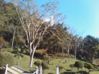 Minas Gerais, MG, Belo Horizonte, Aluguel temporada,  Alugue temporada, apartamentos para alugar, Casa para alugar,  alugar casas,  aluguel de temporada,  aluguel por temporada, alugar apartamento,  alugar casa, casas pra alugar,  casas alugar, casa alugar, casa temporada, aluguel para temporada,