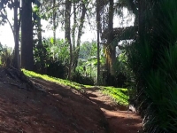 Mato Grosso, MT, Cuiaba, Aluguel temporada,  Alugue temporada, apartamentos para alugar, Casa para alugar,  alugar casas,  aluguel de temporada,  aluguel por temporada, alugar apartamento,  alugar casa, casas pra alugar,  casas alugar, casa alugar, casa temporada, aluguel para temporada,