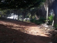 Mato Grosso, MT, Cuiaba, Aluguel temporada,  Alugue temporada, apartamentos para alugar, Casa para alugar,  alugar casas,  aluguel de temporada,  aluguel por temporada, alugar apartamento,  alugar casa, casas pra alugar,  casas alugar, casa alugar, casa temporada, aluguel para temporada,