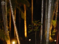 Paraná, PR, Curitiba, Aluguel temporada,  Alugue temporada, apartamentos para alugar, Casa para alugar,  alugar casas,  aluguel de temporada,  aluguel por temporada, alugar apartamento,  alugar casa, casas pra alugar,  casas alugar, casa alugar, casa temporada, aluguel para temporada,