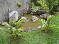 Paraná, PR, Curitiba, Aluguel temporada,  Alugue temporada, apartamentos para alugar, Casa para alugar,  alugar casas,  aluguel de temporada,  aluguel por temporada, alugar apartamento,  alugar casa, casas pra alugar,  casas alugar, casa alugar, casa temporada, aluguel para temporada,