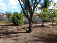 Alagoas, AL, Maceio, Aluguel temporada,  Alugue temporada, apartamentos para alugar, Casa para alugar,  alugar casas,  aluguel de temporada,  aluguel por temporada, alugar apartamento,  alugar casa, casas pra alugar,  casas alugar, casa alugar, casa temporada, aluguel para temporada,