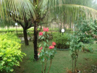 Mato Grosso, MT, Cuiaba, Aluguel temporada,  Alugue temporada, apartamentos para alugar, Casa para alugar,  alugar casas,  aluguel de temporada,  aluguel por temporada, alugar apartamento,  alugar casa, casas pra alugar,  casas alugar, casa alugar, casa temporada, aluguel para temporada,
