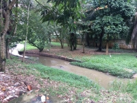 Goias, GO, Goiania, Aluguel temporada,  Alugue temporada, apartamentos para alugar, Casa para alugar,  alugar casas,  aluguel de temporada,  aluguel por temporada, alugar apartamento,  alugar casa, casas pra alugar,  casas alugar, casa alugar, casa temporada, aluguel para temporada,