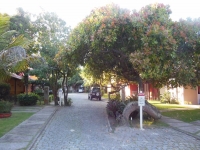 Paraiba, PB, Joao Pessoa, Aluguel temporada,  Alugue temporada, apartamentos para alugar, Casa para alugar,  alugar casas,  aluguel de temporada,  aluguel por temporada, alugar apartamento,  alugar casa, casas pra alugar,  casas alugar, casa alugar, casa temporada, aluguel para temporada,
