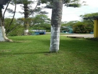 Ceara, CE, Fortaleza, Aluguel temporada,  Alugue temporada, apartamentos para alugar, Casa para alugar,  alugar casas,  aluguel de temporada,  aluguel por temporada, alugar apartamento,  alugar casa, casas pra alugar,  casas alugar, casa alugar, casa temporada, aluguel para temporada,