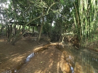 Rio Grande do Norte, RN, Natal, Aluguel temporada,  Alugue temporada, apartamentos para alugar, Casa para alugar,  alugar casas,  aluguel de temporada,  aluguel por temporada, alugar apartamento,  alugar casa, casas pra alugar,  casas alugar, casa alugar, casa temporada, aluguel para temporada,