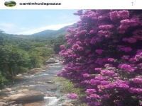 Espirito Santo, ES, Vitória, Aluguel temporada,  Alugue temporada, apartamentos para alugar, Casa para alugar,  alugar casas,  aluguel de temporada,  aluguel por temporada, alugar apartamento,  alugar casa, casas pra alugar,  casas alugar, casa alugar, casa temporada, aluguel para temporada,