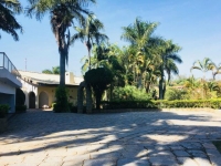 Espirito Santo, ES, Vitória, Aluguel temporada,  Alugue temporada, apartamentos para alugar, Casa para alugar,  alugar casas,  aluguel de temporada,  aluguel por temporada, alugar apartamento,  alugar casa, casas pra alugar,  casas alugar, casa alugar, casa temporada, aluguel para temporada,