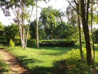 Roraima, RR, Boa Vista, Aluguel temporada,  Alugue temporada, apartamentos para alugar, Casa para alugar,  alugar casas,  aluguel de temporada,  aluguel por temporada, alugar apartamento,  alugar casa, casas pra alugar,  casas alugar, casa alugar, casa temporada, aluguel para temporada,