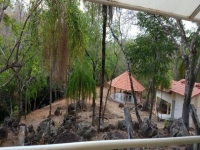 Paraná, PR, Curitiba, Aluguel temporada,  Alugue temporada, apartamentos para alugar, Casa para alugar,  alugar casas,  aluguel de temporada,  aluguel por temporada, alugar apartamento,  alugar casa, casas pra alugar,  casas alugar, casa alugar, casa temporada, aluguel para temporada,