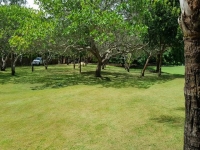 Paraná, PR, Curitiba, Aluguel temporada,  Alugue temporada, apartamentos para alugar, Casa para alugar,  alugar casas,  aluguel de temporada,  aluguel por temporada, alugar apartamento,  alugar casa, casas pra alugar,  casas alugar, casa alugar, casa temporada, aluguel para temporada,