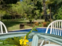 Pernambuco, PE, Recife, Aluguel temporada,  Alugue temporada, apartamentos para alugar, Casa para alugar,  alugar casas,  aluguel de temporada,  aluguel por temporada, alugar apartamento,  alugar casa, casas pra alugar,  casas alugar, casa alugar, casa temporada, aluguel para temporada,