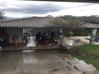 Santa Catarina, SC, Florianopolis, Aluguel temporada,  Alugue temporada, apartamentos para alugar, Casa para alugar,  alugar casas,  aluguel de temporada,  aluguel por temporada, alugar apartamento,  alugar casa, casas pra alugar,  casas alugar, casa alugar, casa temporada, aluguel para temporada,