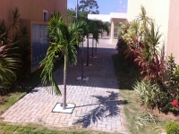 Amazonas, AM, Manaus, Aluguel temporada,  Alugue temporada, apartamentos para alugar, Casa para alugar,  alugar casas,  aluguel de temporada,  aluguel por temporada, alugar apartamento,  alugar casa, casas pra alugar,  casas alugar, casa alugar, casa temporada, aluguel para temporada,