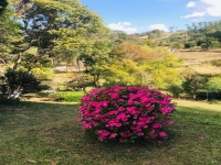 Pernambuco, PE, Recife, Aluguel temporada,  Alugue temporada, apartamentos para alugar, Casa para alugar,  alugar casas,  aluguel de temporada,  aluguel por temporada, alugar apartamento,  alugar casa, casas pra alugar,  casas alugar, casa alugar, casa temporada, aluguel para temporada,
