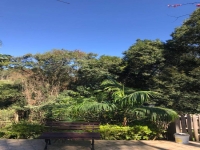 Pernambuco, PE, Recife, Aluguel temporada,  Alugue temporada, apartamentos para alugar, Casa para alugar,  alugar casas,  aluguel de temporada,  aluguel por temporada, alugar apartamento,  alugar casa, casas pra alugar,  casas alugar, casa alugar, casa temporada, aluguel para temporada,