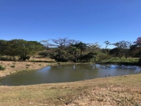 Pernambuco, PE, Recife, Aluguel temporada,  Alugue temporada, apartamentos para alugar, Casa para alugar,  alugar casas,  aluguel de temporada,  aluguel por temporada, alugar apartamento,  alugar casa, casas pra alugar,  casas alugar, casa alugar, casa temporada, aluguel para temporada,