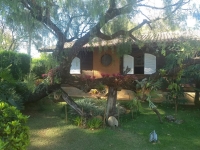 Tocantins, TO, Palmas, Aluguel temporada,  Alugue temporada, apartamentos para alugar, Casa para alugar,  alugar casas,  aluguel de temporada,  aluguel por temporada, alugar apartamento,  alugar casa, casas pra alugar,  casas alugar, casa alugar, casa temporada, aluguel para temporada,