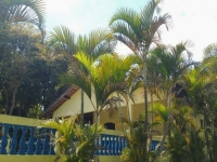 Paraná, PR, Curitiba, Aluguel temporada,  Alugue temporada, apartamentos para alugar, Casa para alugar,  alugar casas,  aluguel de temporada,  aluguel por temporada, alugar apartamento,  alugar casa, casas pra alugar,  casas alugar, casa alugar, casa temporada, aluguel para temporada,