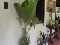 Paraná, PR, Curitiba, Aluguel temporada,  Alugue temporada, apartamentos para alugar, Casa para alugar,  alugar casas,  aluguel de temporada,  aluguel por temporada, alugar apartamento,  alugar casa, casas pra alugar,  casas alugar, casa alugar, casa temporada, aluguel para temporada,