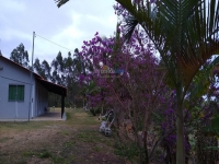Minas Gerais, MG, Belo Horizonte, Aluguel temporada,  Alugue temporada, apartamentos para alugar, Casa para alugar,  alugar casas,  aluguel de temporada,  aluguel por temporada, alugar apartamento,  alugar casa, casas pra alugar,  casas alugar, casa alugar, casa temporada, aluguel para temporada,