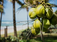 Alagoas, AL, Maceio, Aluguel temporada,  Alugue temporada, apartamentos para alugar, Casa para alugar,  alugar casas,  aluguel de temporada,  aluguel por temporada, alugar apartamento,  alugar casa, casas pra alugar,  casas alugar, casa alugar, casa temporada, aluguel para temporada,