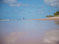 Alagoas, AL, Maceio, Aluguel temporada,  Alugue temporada, apartamentos para alugar, Casa para alugar,  alugar casas,  aluguel de temporada,  aluguel por temporada, alugar apartamento,  alugar casa, casas pra alugar,  casas alugar, casa alugar, casa temporada, aluguel para temporada,