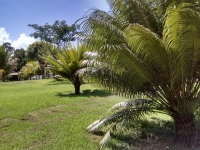 Minas Gerais, MG, Belo Horizonte, Aluguel temporada,  Alugue temporada, apartamentos para alugar, Casa para alugar,  alugar casas,  aluguel de temporada,  aluguel por temporada, alugar apartamento,  alugar casa, casas pra alugar,  casas alugar, casa alugar, casa temporada, aluguel para temporada,