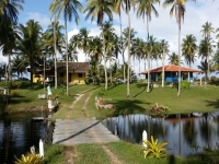 Rio Grande do Norte, RN, Natal, Aluguel temporada,  Alugue temporada, apartamentos para alugar, Casa para alugar,  alugar casas,  aluguel de temporada,  aluguel por temporada, alugar apartamento,  alugar casa, casas pra alugar,  casas alugar, casa alugar, casa temporada, aluguel para temporada,