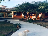 Paraiba, PB, Joao Pessoa, Aluguel temporada,  Alugue temporada, apartamentos para alugar, Casa para alugar,  alugar casas,  aluguel de temporada,  aluguel por temporada, alugar apartamento,  alugar casa, casas pra alugar,  casas alugar, casa alugar, casa temporada, aluguel para temporada,