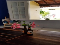 Paraná, PR, Curitiba, Aluguel temporada,  Alugue temporada, apartamentos para alugar, Casa para alugar,  alugar casas,  aluguel de temporada,  aluguel por temporada, alugar apartamento,  alugar casa, casas pra alugar,  casas alugar, casa alugar, casa temporada, aluguel para temporada,